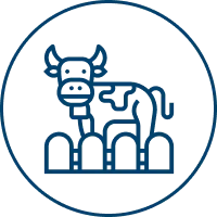 Livestock