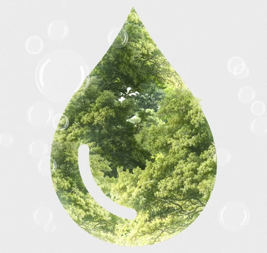 Sustainability at Roto Energy