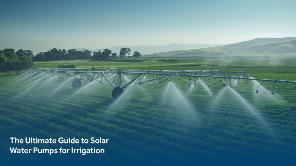 The Ultimate Guide to Solar Water Pumps for Irrigation