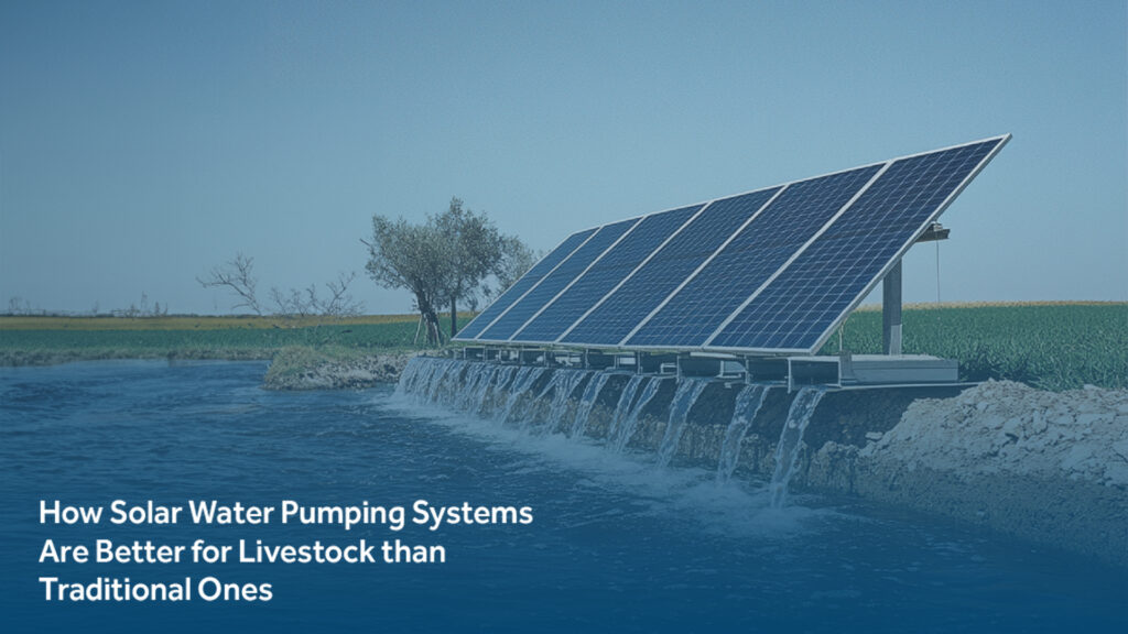 How Solar Water Pumping Systems Are Better for Livestock Than Traditional Ones