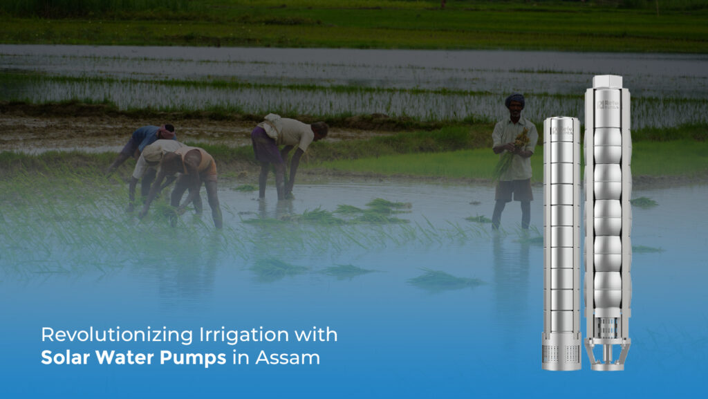 Solar Water Pumps in Assam