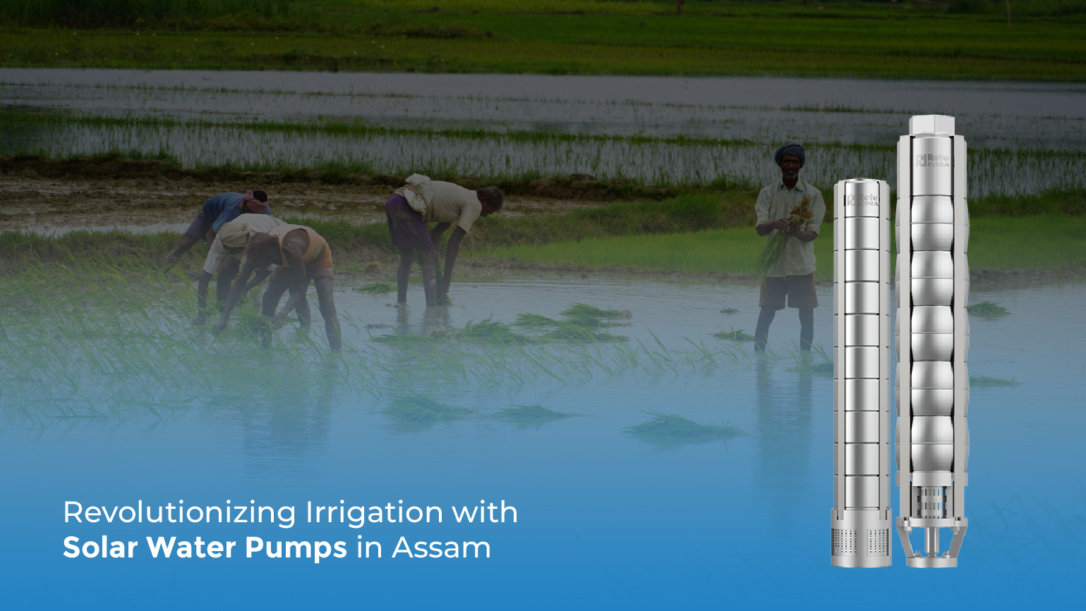 Revolutionizing Irrigation with Solar Water Pumps in Assam