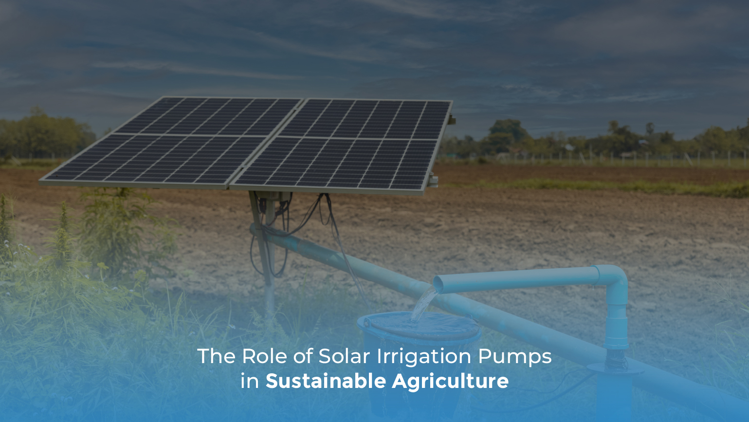 The Role of Solar Irrigation Pumps in Sustainable Agriculture